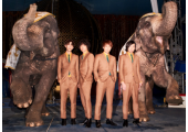 THE BAWDIES
