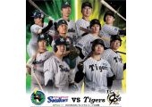 東京ヤクルトスワローズ vs 阪神タイガース